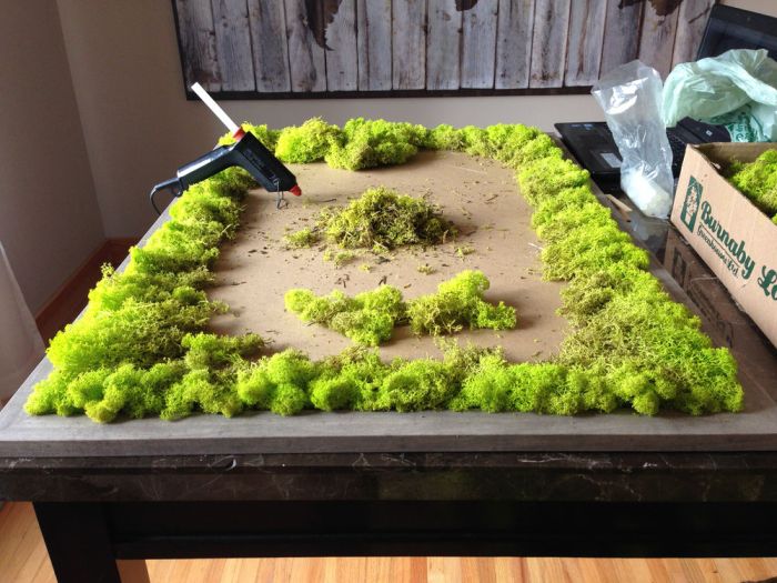 How to make a moss wall decoration