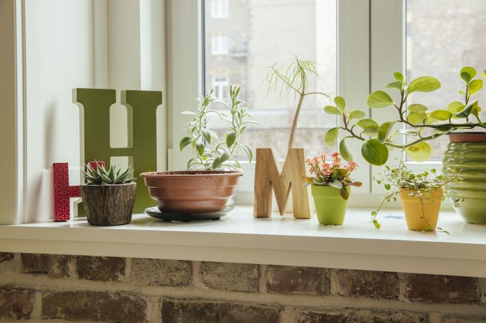 How to decorate a bathroom window sill